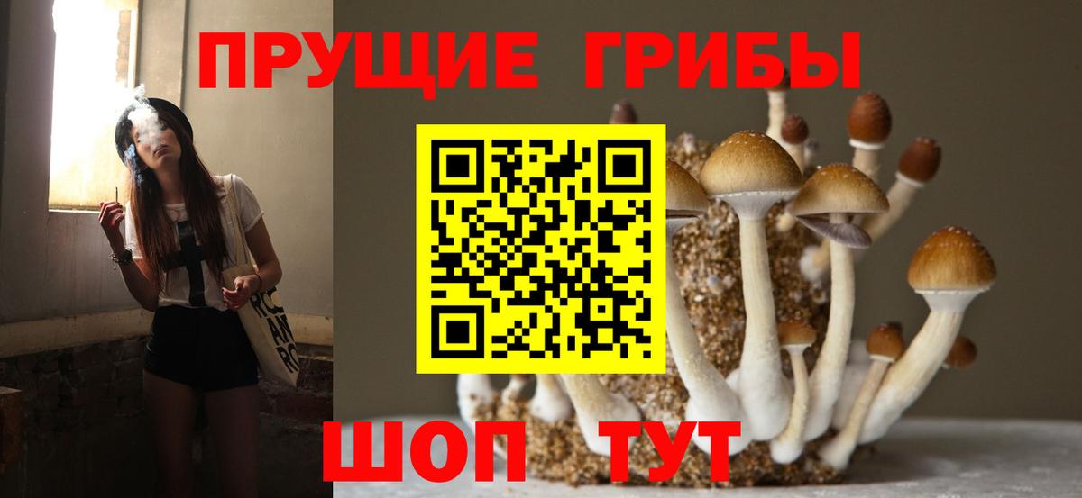 Псилоцибиновые грибы ЛСД  Вход с VPN  как найти закладки  Армавир 